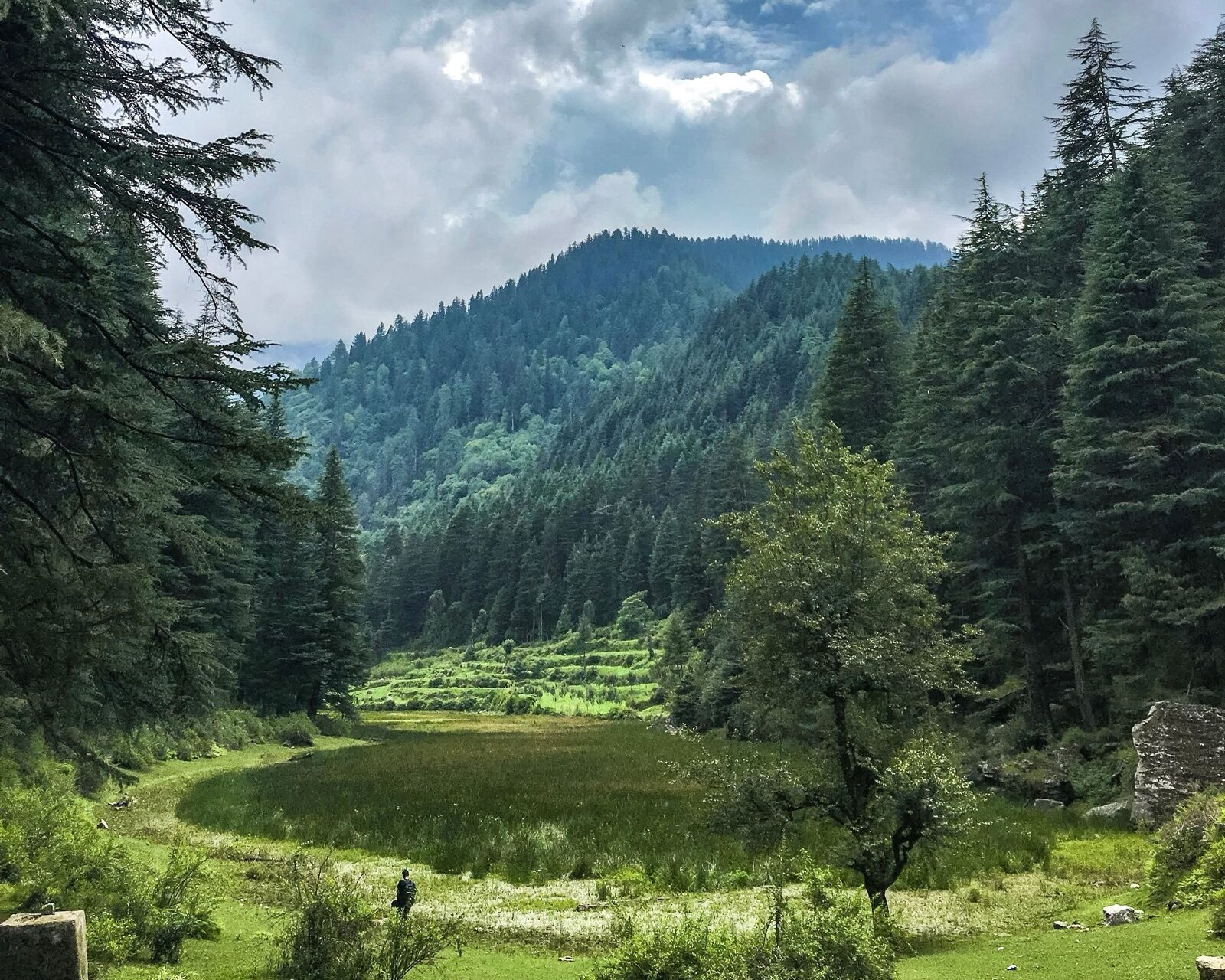 पुण्डरिक ऋषि झील: सैंज वैली की वो झील जो घास के नीचे छुपी है