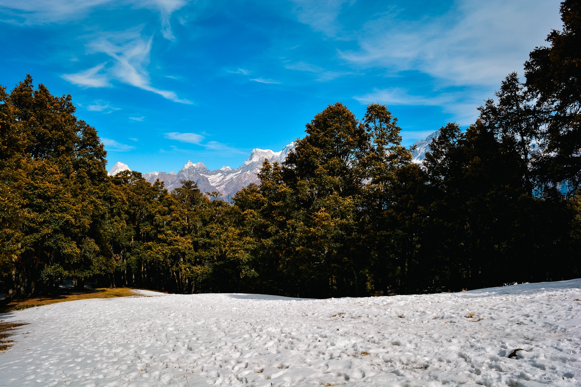 Gurson Bugyal trail views from Auli Skiing Point