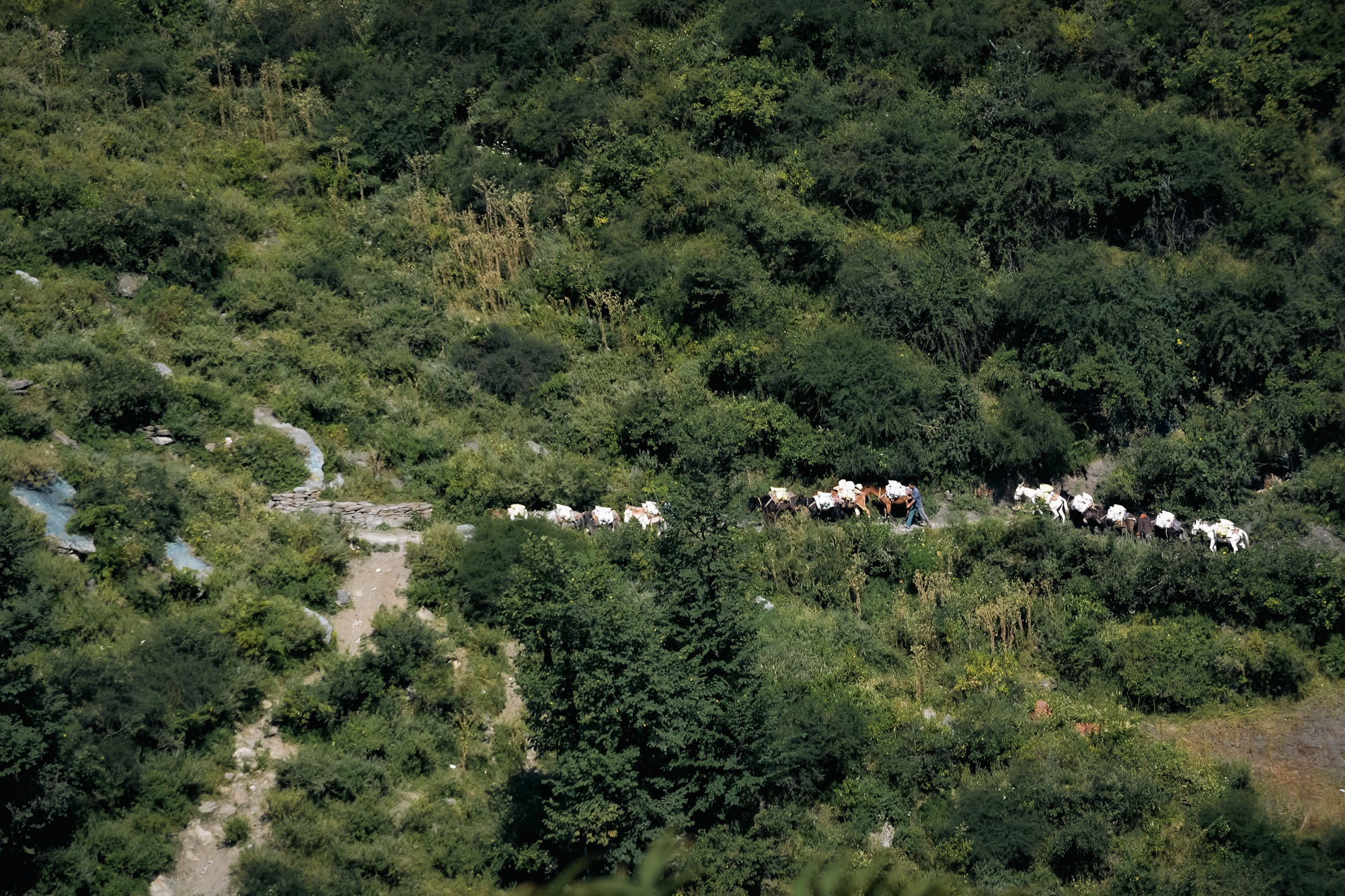 Trail to Malana Village 