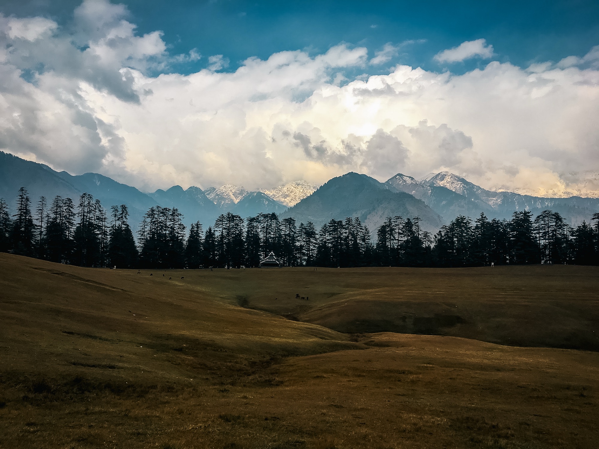 Shangarh ground view in Sainj Valley
